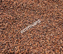 Emmivans Whole Alligator Peppercorn Pepper & Peppercorn 5oz - Afroemporium