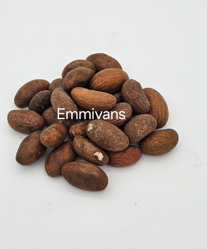 Emmivans Juicy Bitter Kola Nut Garcinia Kola , 8oz - Afroemporium 