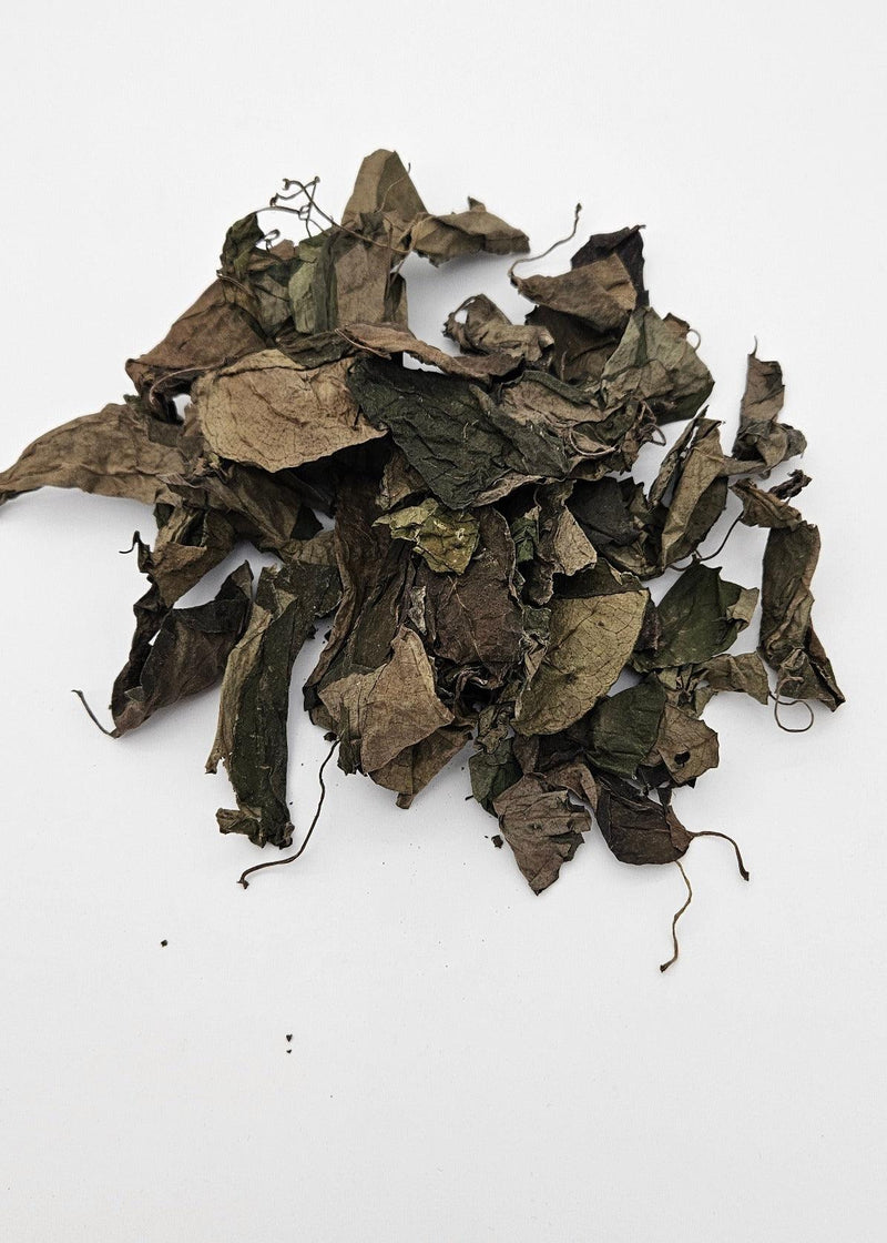 Emmivans Sun dried Uziza leaves Piper Guineense 1.5oz - Afroemporium 