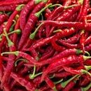 Emmivans Hot Mixed Pepper Seeds. Long Thick Red Cayenne Pepper & Slim Chili Pepper Seeds. Non-GMO Pepper Seeds For Outdoor & Indoor Home Gardening