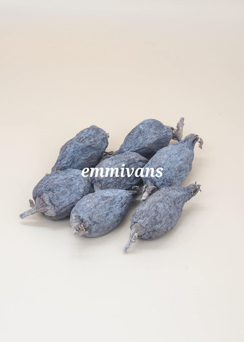 Emmivans Alligator Pepper Pods Grains Of Paradise ,7 Pods - Afroemporium 