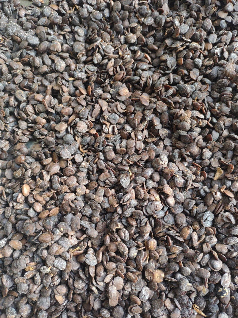 Emmivans Locust Beans - Air Dried Whole Iru - 5oz - Afroemporium 