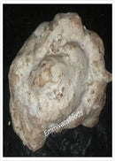 Osu Powder Soup Thickener, 5oz - Afroemporium 